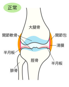 膝関節