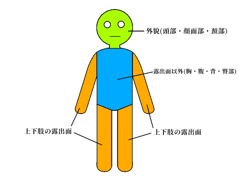 瘢痕と線状痕｜医師監修記事・後遺障害専門の弁護士法人小杉法律事務所 | 【慰謝料請求に強い】交通事故後遺障害被害専門の弁護士相談